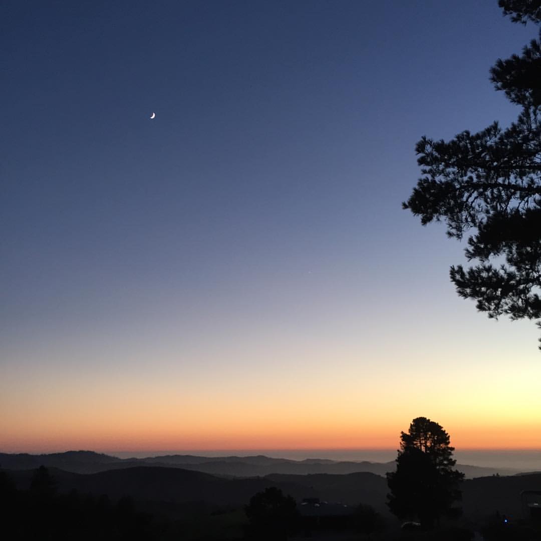 15000107_10157710701855385_114737864343647833_o